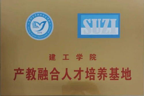 產(chǎn)教融合園合作企業(yè)簡介 江蘇蘇咨工程咨詢有限責任公司與企業(yè)管理咨詢