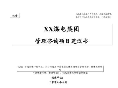 XX戰(zhàn)略建議書 企業(yè)管理咨詢的關鍵路徑與實施指南